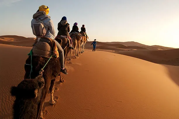 Camel trek Sahara Mhamid