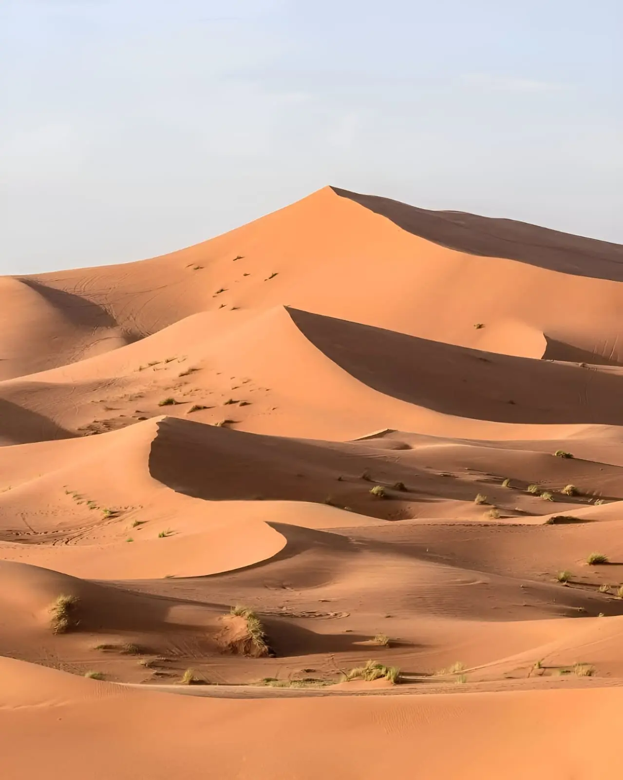 Desert landscape Erg Zahar Mhamid