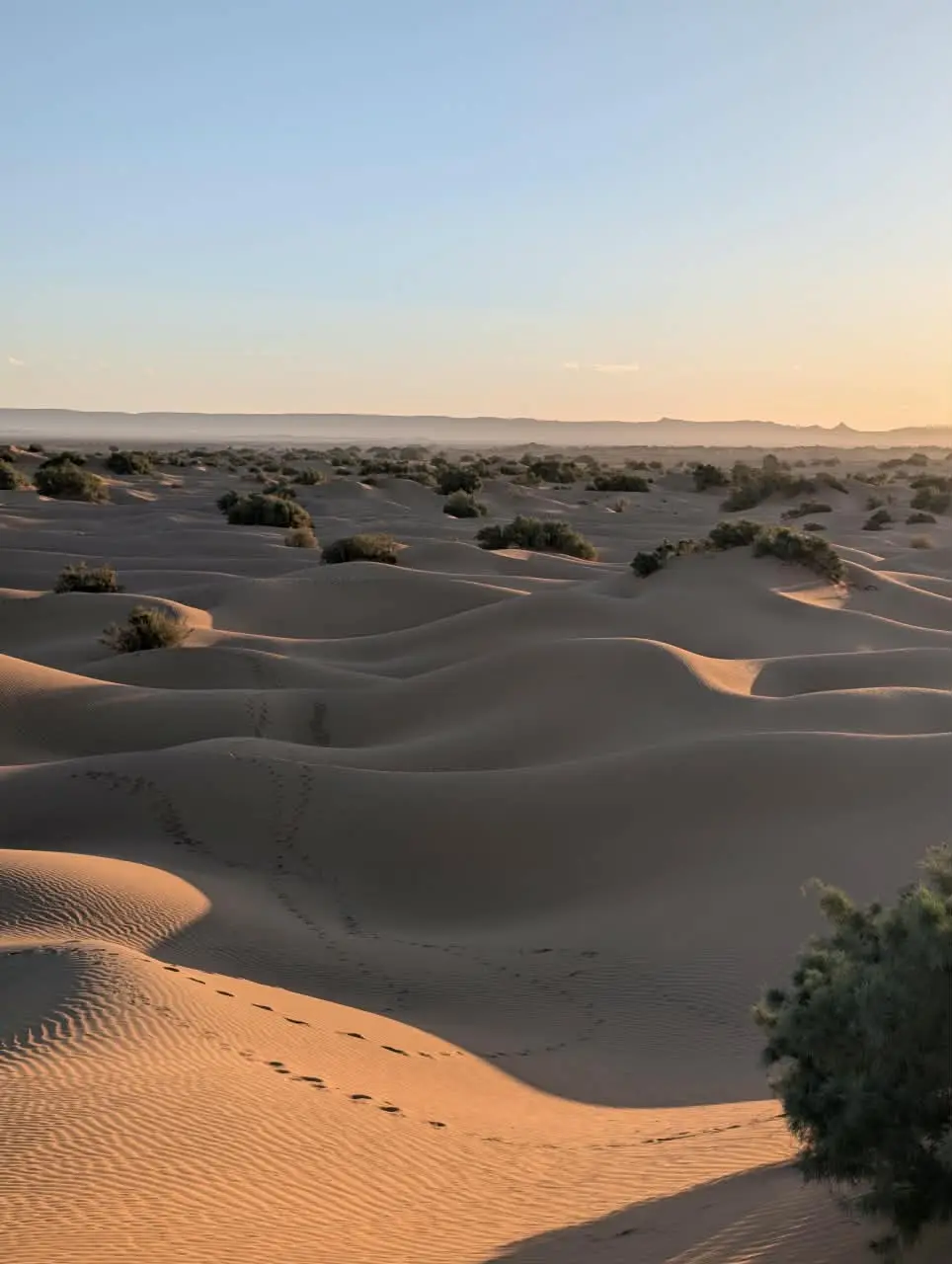 Wind-shaped sand dunes with sparse vegetation extend across a quiet desert landscape.