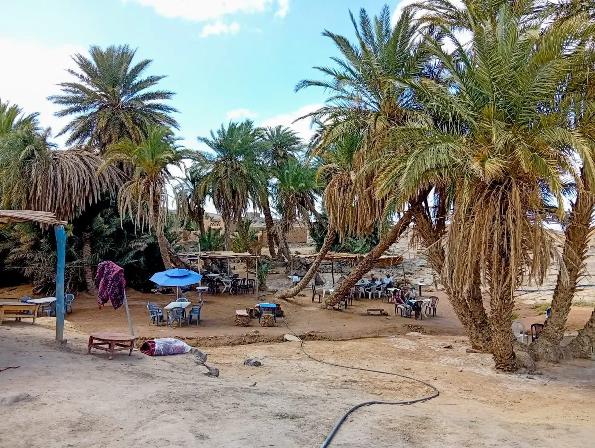 The oasis of M’Hamid El Ghizlane at the edge of the dunes